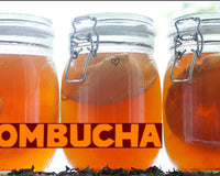 How To Make Kombucha