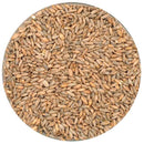 Weyermann® Rye Malt in a display bowl