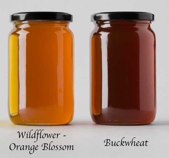 Wildflower Honey - 1 lb