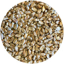 Close-up view of Mecca Grade Wickiup Malt