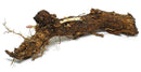 Crystal Hop Rhizome