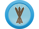 AHS Roggenbier  (15D) - ALL GRAIN Homebrew Ingredient Kit