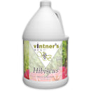 Gallon jug of Hibiscus wine concentrate.