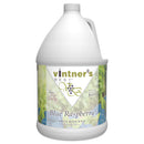 Vintner's Best Blue Raspberry fruit wine base container on a white background