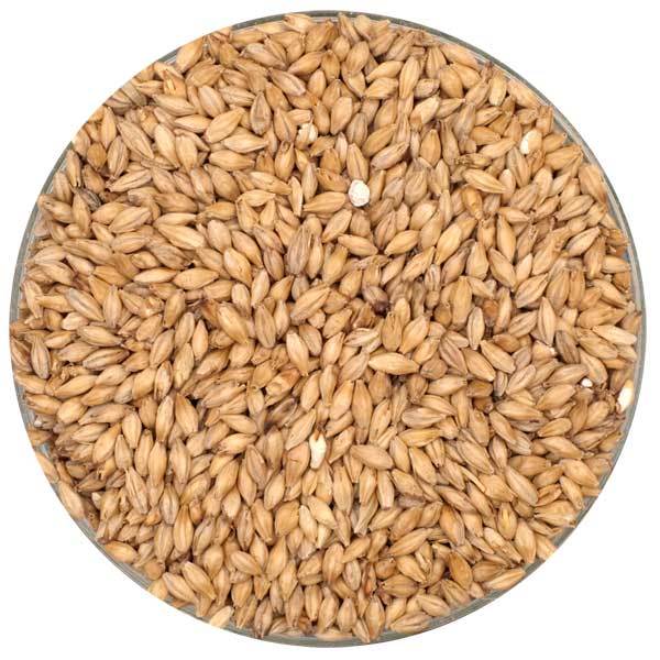 MCM Pilsner Malt