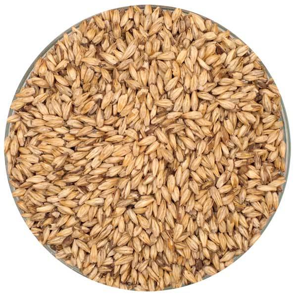 MCM Dextrin Malt