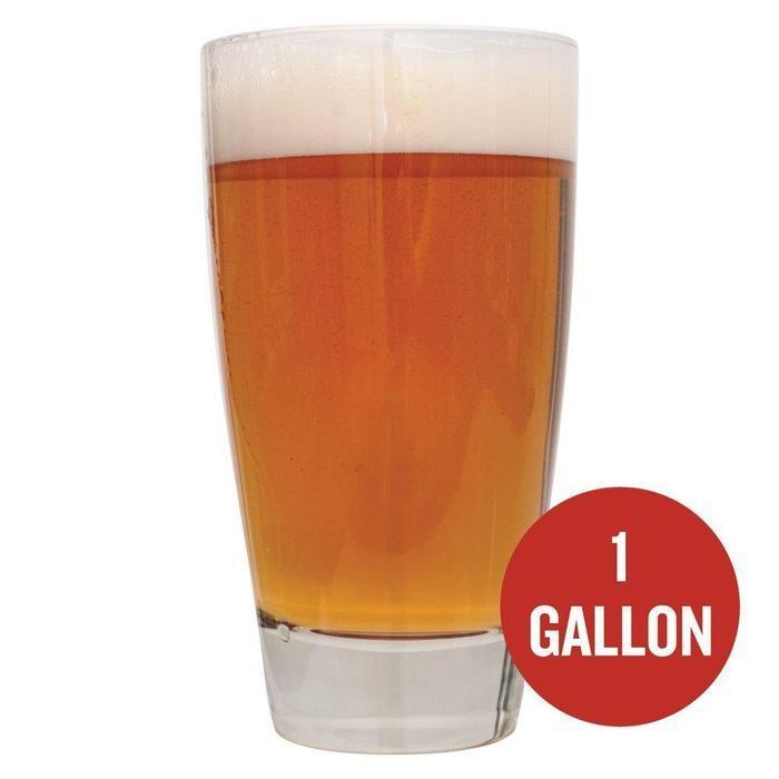 Sierra Madre Pale Ale homebrew in a glass with a red circle that contains "1-gallon" in text