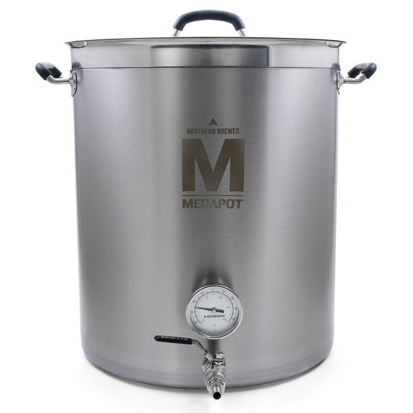 20 Gallon Brew Kettle for Low Oxygen brewing - On Legs (Electric)