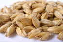 Pilsner Malt - Root Shoot Malting
