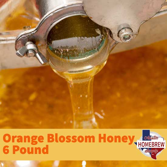 Orange Blossom Honey 6 lb