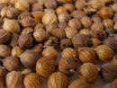 Coriander Seed - 1 oz