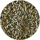 Detail view of Mecca Grade Rimrock Malt