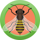 AHS Honey Ginger Lager (23) - MINI MASH Homebrew Ingredient Kit