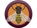 AHS Honey Brown Ale  (10C) - EXTRACT Homebrew Ingredient Kit