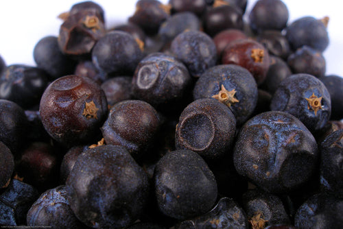 Juniper Berries - 1/4 oz