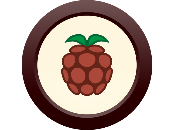 AHS Raspberry Porter  (20) - ALL GRAIN Homebrew Ingredient Kit