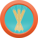 AHS Session Series Blonde Ale - MINI MASH Homebrew Ingredient Kit