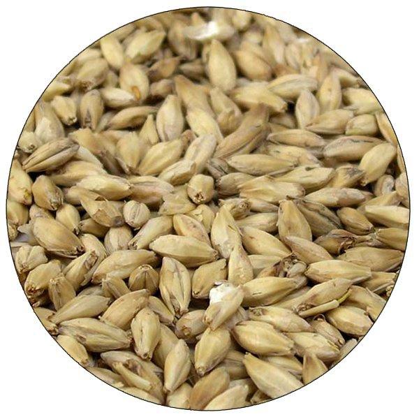 Briess Organic 2-Row