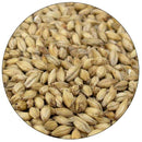 Close-up view of Briess Ashburne Mild Malt