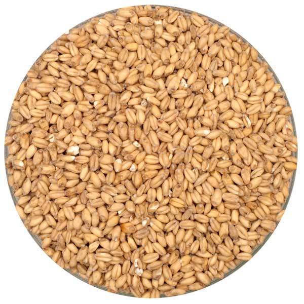 Canada Malting Wheat Malt - lb